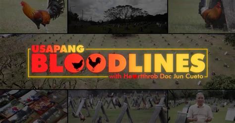 Sabong Bloodlines: April 2019.